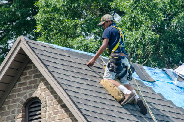 Best Roof Gutter Cleaning  in South Charleston, OH